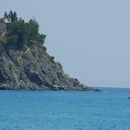 Cassiodoro * Stalettì